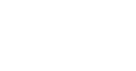 Southern Star Care (Company Logo)